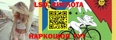 Альфа ПВП Аргун