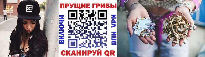 Псилоцибиновые грибы Psilocybe  Балаково 