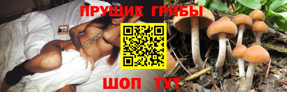 Галлюциногенные грибы прущие грибы  Вход с VPN  Псилоцибиновые грибы Cubensis  Балаково 